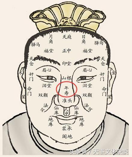 水险痣什么意思位置图片