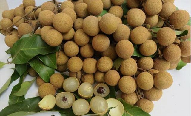 荔枝干和桂圆干哪个好，荔枝干和桂圆干哪个营养好（今年龙眼是否会重蹈荔枝跌价恶梦）