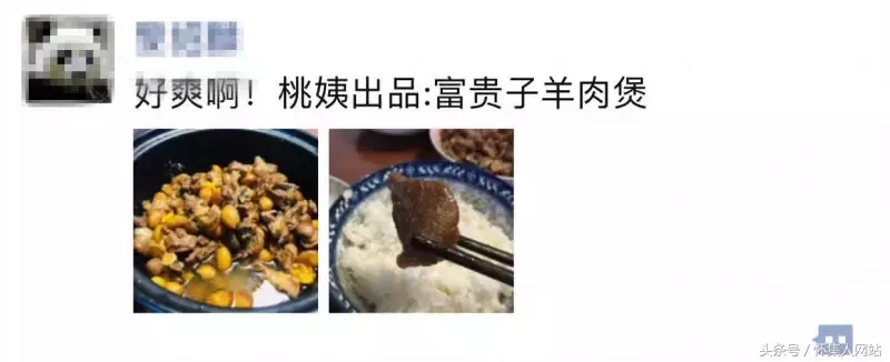 九层皮的功效与作用 九层皮有什么功效与作用，九层皮的功效与作用（农村很多地方都有）