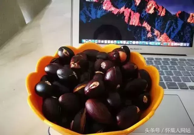九层皮的功效与作用 九层皮有什么功效与作用，九层皮的功效与作用（农村很多地方都有）
