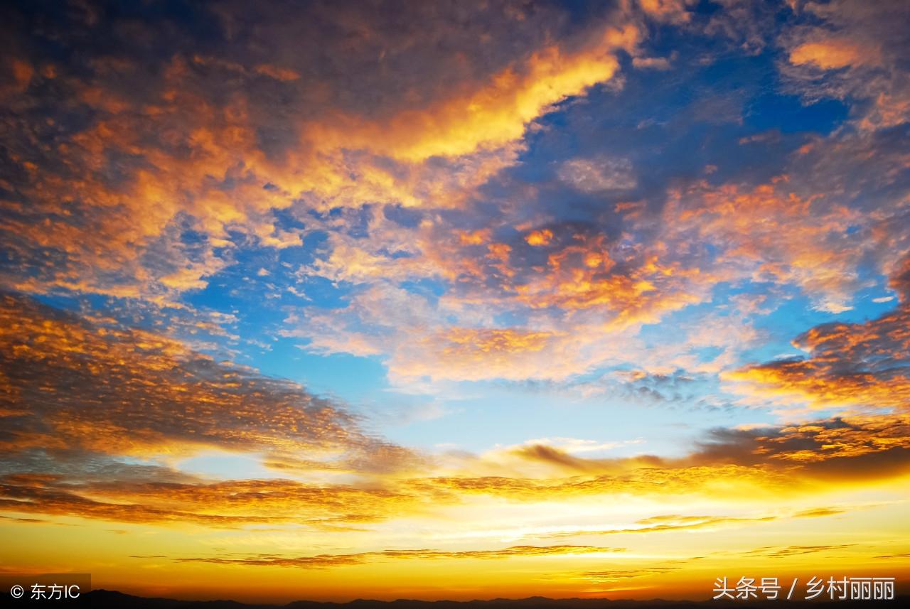 中国逻辑与语言函授大学（袁富民）