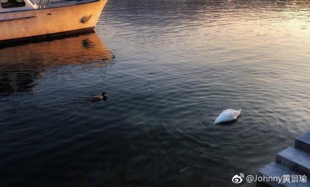 黄景瑜15条微博是表白，黄景瑜被黑仍很火（黄景瑜上线14分钟发图15张）