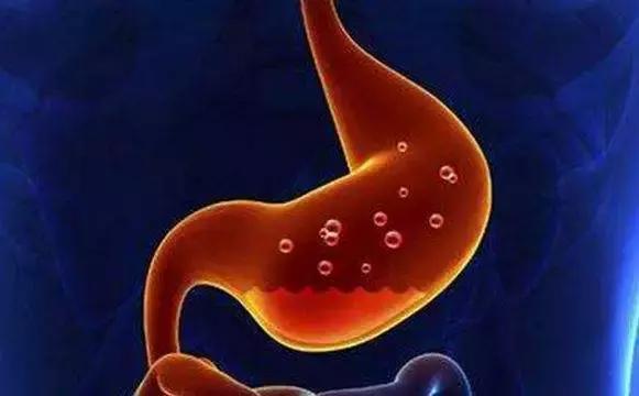 吃什么食物最养胃，吃什么食物最养胃修复胃（这10种食物最养胃）