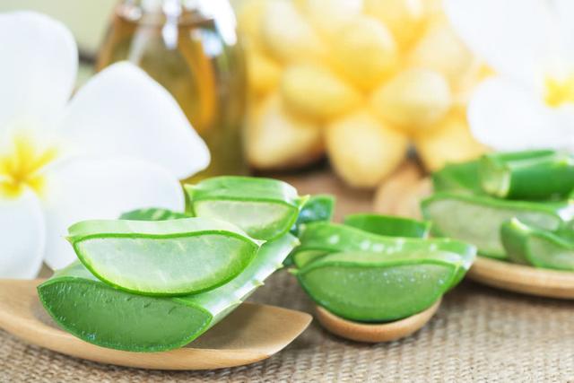 芦荟胶可以美白吗，芦荟胶能美白吗（让肌肤如鸡蛋光滑）