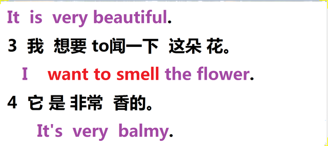 flower怎么读，photo怎么读（海涛英语语法实战写作：《花》）