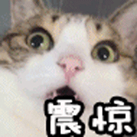 如何给余额宝充值，如何给余额宝充值微信（这么多地儿都用上的话能省不少钱）