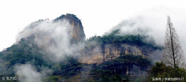 校怎么组词，“校”的多音字组词（小学阶段常见换偏旁组词总结）