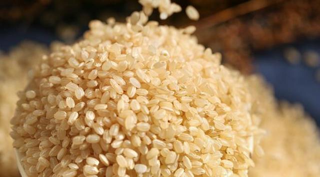 玄米是什么米，日本的玄米是什么米（玄米一点也不“玄”）