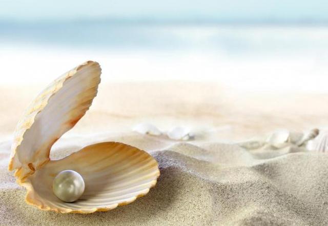 沙子和珍珠的故事启示，哲理故事——沙子与珍珠