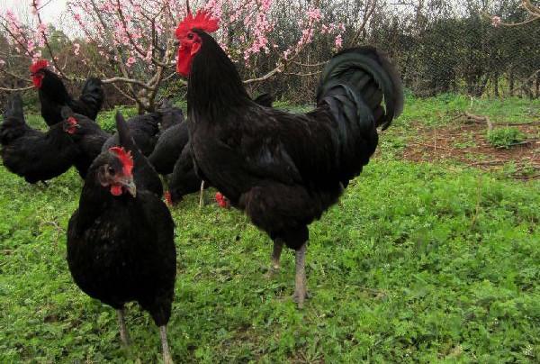 江苏省如东县属于哪个市，如东县属于哪个市（江苏省南通市如东县）