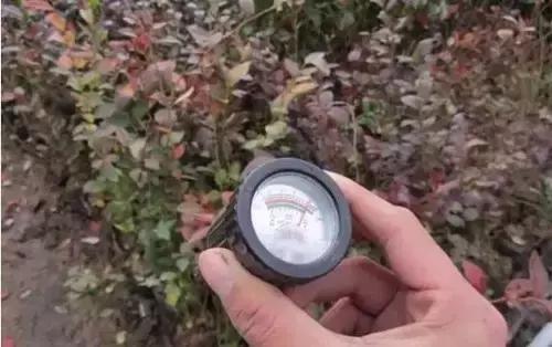 怎么分辨酸碱性,怎么分辨酸碱性氧化物(教您判断土壤酸碱度) 怎么分辨酸碱性,怎么分辨酸碱性氧化物(教您判断土壤酸碱度)