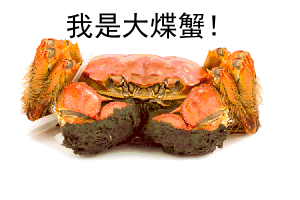 笃定的拼音和意思，笃定的拼音（正宗上海人都不一定会写）