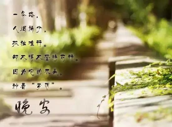 说晚安情感话语唯美句子,说晚安情感话语唯美句子图片(晚安心语励志唯美的经典句子) 说晚安情感话语唯美句子,说晚安情感话语唯美句子图片(晚安心语励志唯美的经典句子)