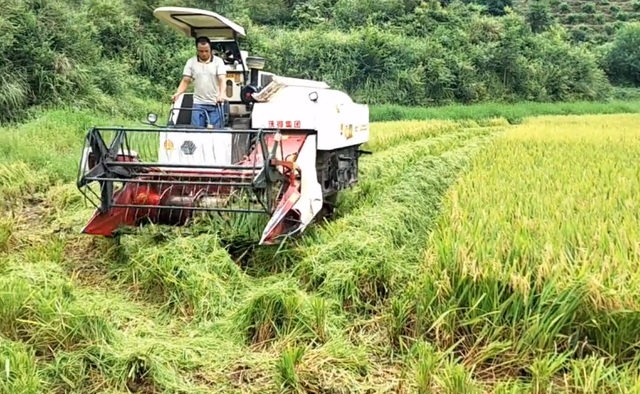 吐不出象牙，狗嘴里吐不出象牙的前一句（吐不出象牙什么意思）