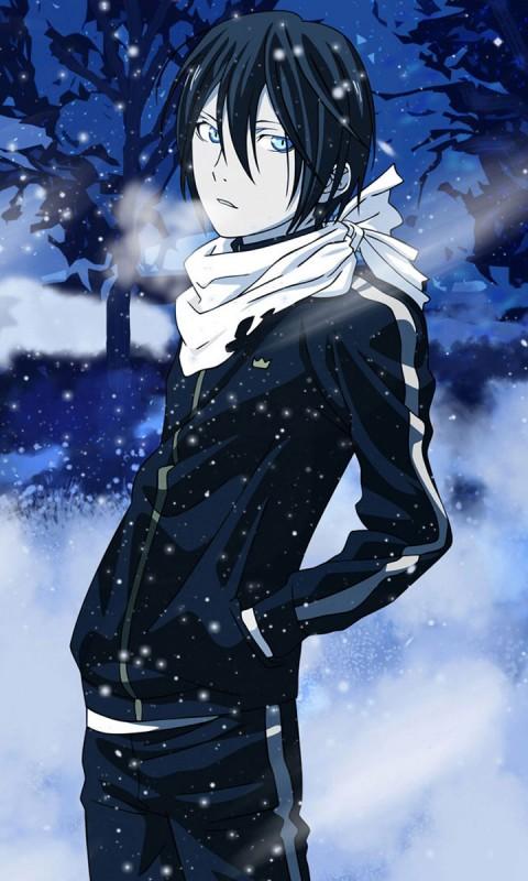 田村耕太郎执导,野良神谷浩史,动漫内田真礼,野良梶裕贵,动漫泽城美雪