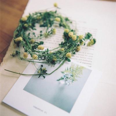 唯美静物背景图片，微信头像，唯美静物背景图片（小清新的唯美静物风景微信头像高清）