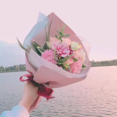 唯美静物背景图片，微信头像，唯美静物背景图片（小清新的唯美静物风景微信头像高清）