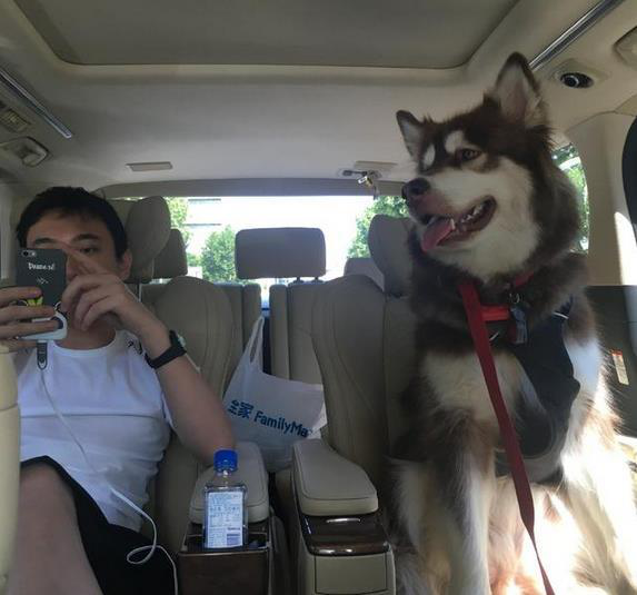 富二代会盯上什么样的女孩，有钱人一般会看上的女人（到底是什么女人能把放荡不羁的富二代收入囊中）