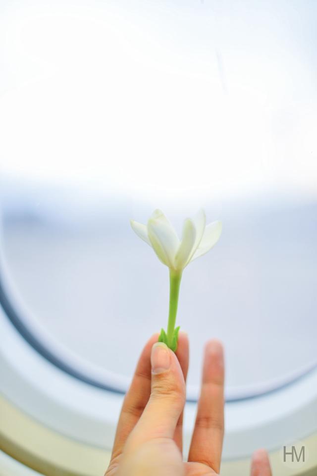 大溪地在哪里，大溪地在哪里世界地图（上帝的游泳池最接近天堂的海岛）