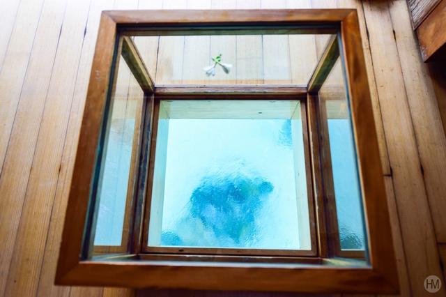 大溪地在哪里，大溪地在哪里世界地图（上帝的游泳池最接近天堂的海岛）