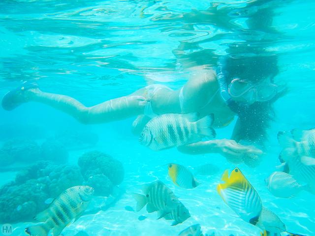 大溪地在哪里，大溪地在哪里世界地图（上帝的游泳池最接近天堂的海岛）