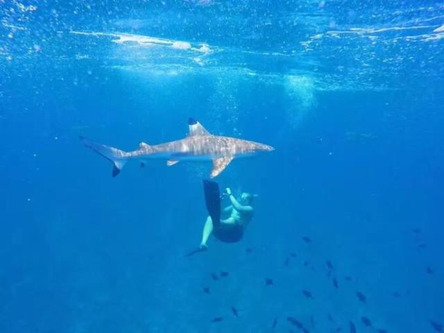 大溪地在哪里，大溪地在哪里世界地图（上帝的游泳池最接近天堂的海岛）