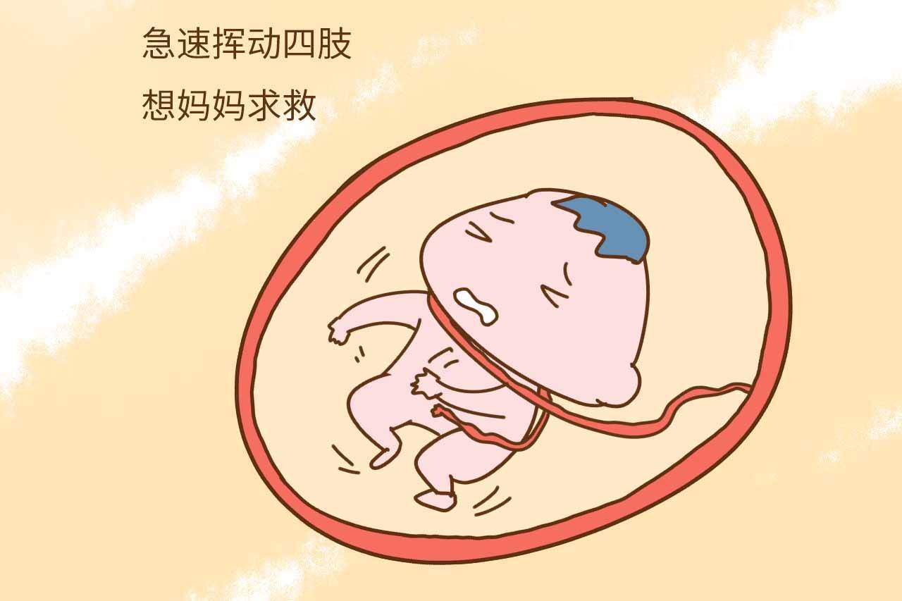 胎儿颤抖式抽搐式胎动(宝宝淘气胎动频繁) - 乐宝宝贝