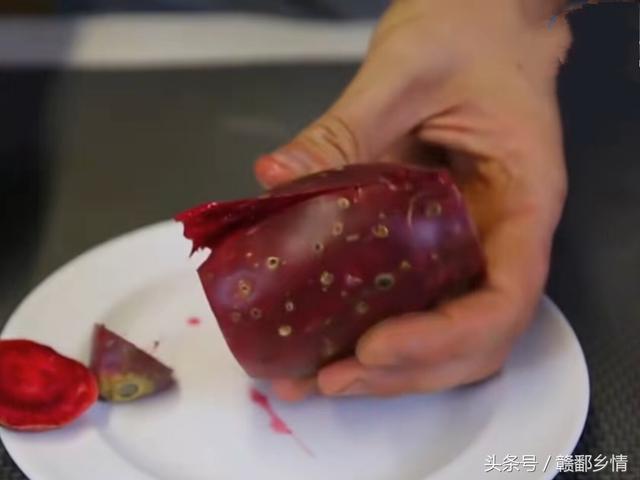 仙人掌果实能吃吗，绿色仙人掌果实能吃吗（其实仙人掌的果实是可以吃的）