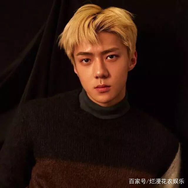 exo是什么意思（十二王朝，九锥盛世：EXO）
