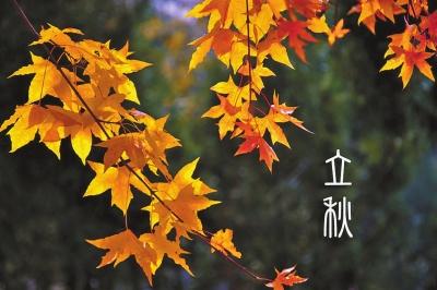 今日立秋发朋友圈的句子，立秋发朋友圈的短句（今日，立秋……）