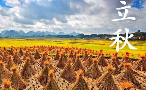 今日立秋发朋友圈的句子，立秋发朋友圈的短句（今日，立秋……）