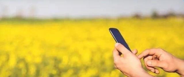 621483开头的是什么银行卡，建设银行卡号开头（给你5000万补助）