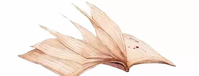 荷花可以做什么美食，荷花的吃法及做法大全（赏荷听雨不如品荷吃花）