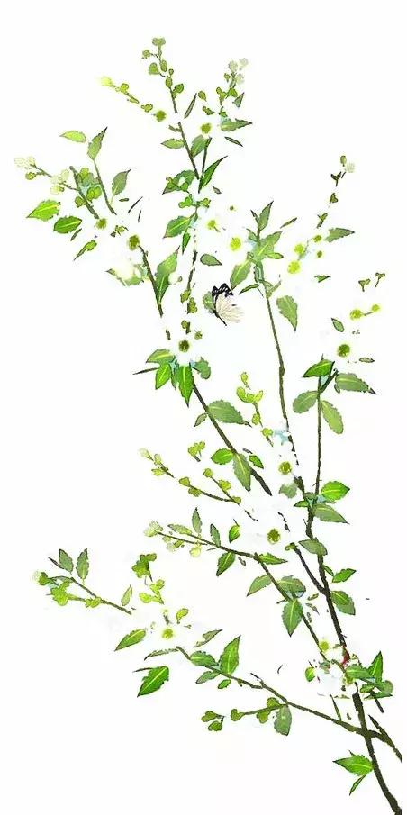 荷花可以做什么美食，荷花的吃法及做法大全（赏荷听雨不如品荷吃花）