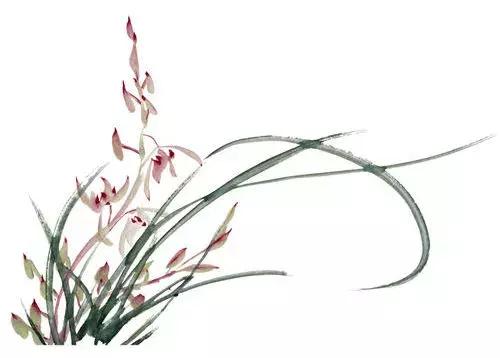 荷花可以做什么美食，荷花的吃法及做法大全（赏荷听雨不如品荷吃花）