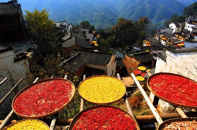 秋天什么时候开始，秋天从哪个节气开始（立秋是秋季的开始吗）