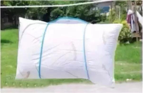 床上除螨虫的最快方法，房间除螨最快方法（枕头里藏着大量螨虫你敢睡）