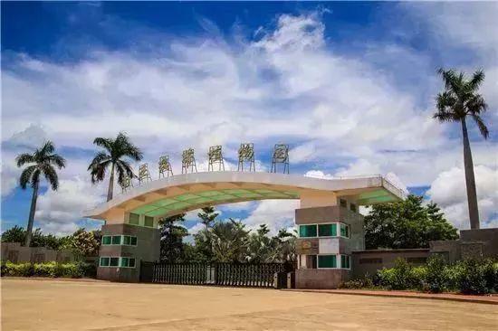 湛江好玩的地方，湛江有什么好玩的地方景点（市区必去的24个景点你都知道吗）