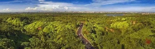 湛江好玩的地方，湛江有什么好玩的地方景点（市区必去的24个景点你都知道吗）