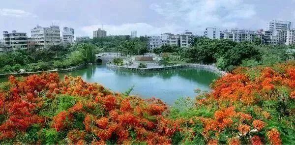 湛江好玩的地方，湛江有什么好玩的地方景点（市区必去的24个景点你都知道吗）