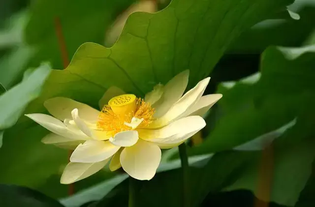 秋天来临三大卧室风水禁忌早知道 秋天卧室潮湿怎么办