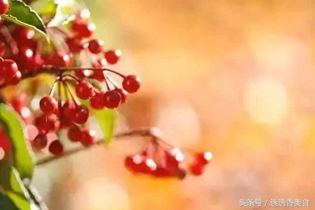 立秋吃什么食物，立秋吃什么传统食物（养生就该吃这10道菜）