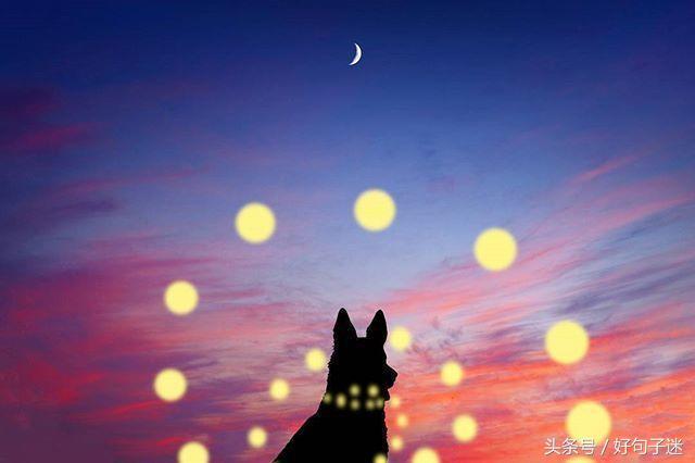 失恋的经典语录，给失恋人鼓励的句子经典语录（失恋后最伤感的句子）