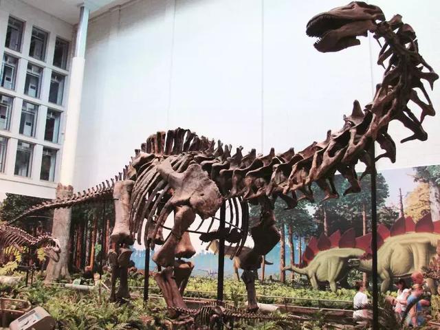 雷龙恐龙的资料，雷龙是侏罗纪的恐龙吗（竟是温顺的食草动物）