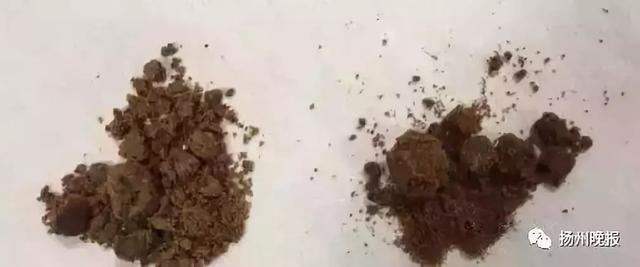  赤砂糖与红糖的区别，赤砂糖和红糖你知道区别在哪里吗（谁知它竟是……差别太大） 