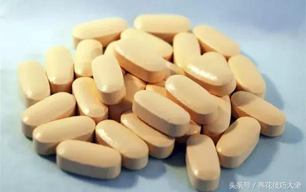 过期的钙片有什么用途,过期的钙片有什么用途(过期钙片居然也能养花) 过期的钙片有什么用途,过期的钙片有什么用途(过期钙片居然也能养花)