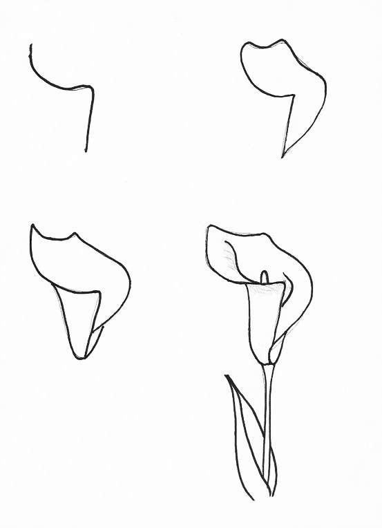 花朵简笔画彩色，花朵简笔画（适合零基础学习的花卉简笔画教程）