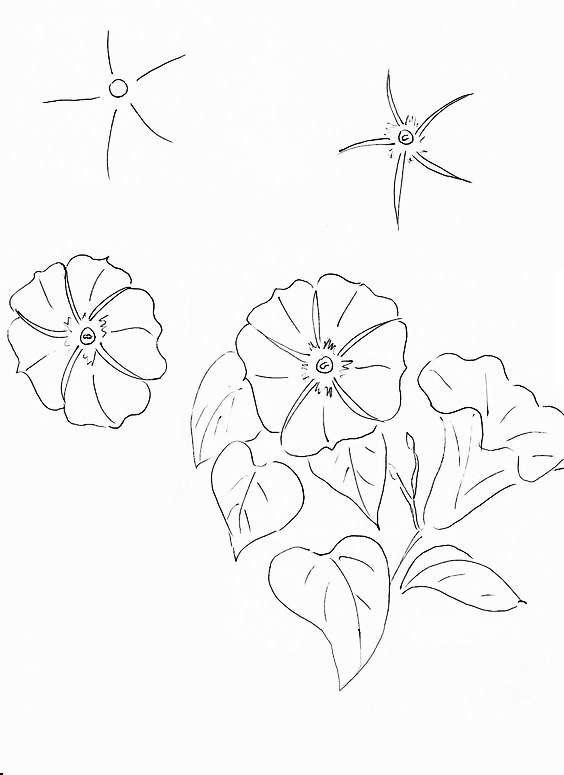 花朵简笔画彩色，花朵简笔画（适合零基础学习的花卉简笔画教程）