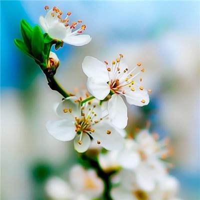 唯美自然风景图片，微信头像，唯美自然风景图片（唯美风景头像图片微信头像）