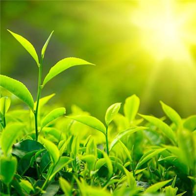 唯美自然风景图片，微信头像，唯美自然风景图片（唯美风景头像图片微信头像）